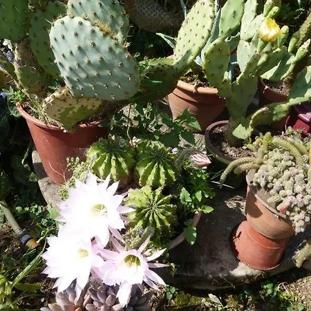 Lusacheres * La Pellerine (Mayenne)