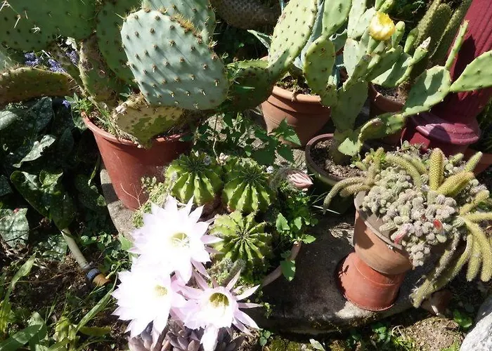 Lusacheres * La Pellerine (Mayenne)